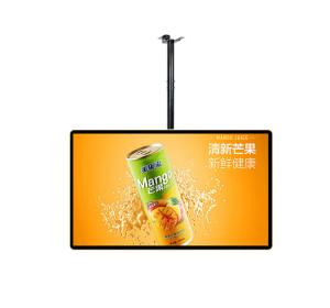 43 Inch Hanging Digital Signage