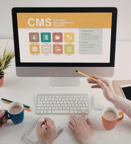 Centralized Content Management Systems (CMS)